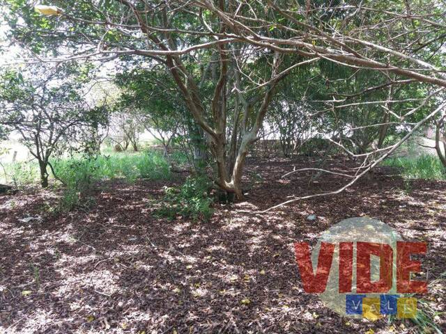 Terreno para Venda em São José dos Campos - 5