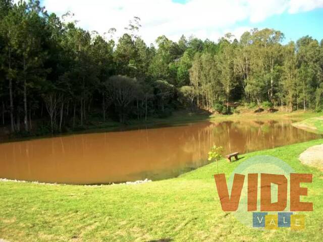 #TEV31386 - Terreno em condomínio para Venda em Jambeiro - SP - 3