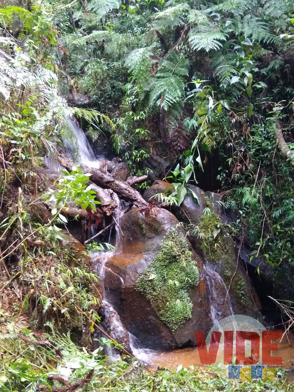 Prédio Inteiro, 22000 m² - Foto 14