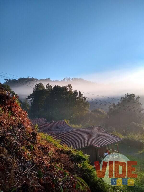 Prédio Inteiro, 22000 m² - Foto 10